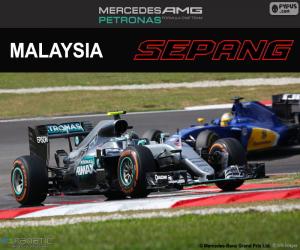 Puzzle N. Rosberg, Μαλαισίας Grand Prix 2016